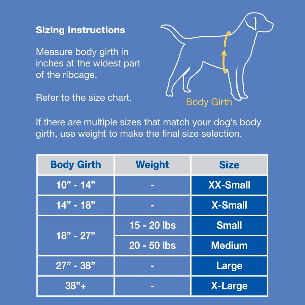 Neoprene Designer Doggy Life Jacket - Blue & Green