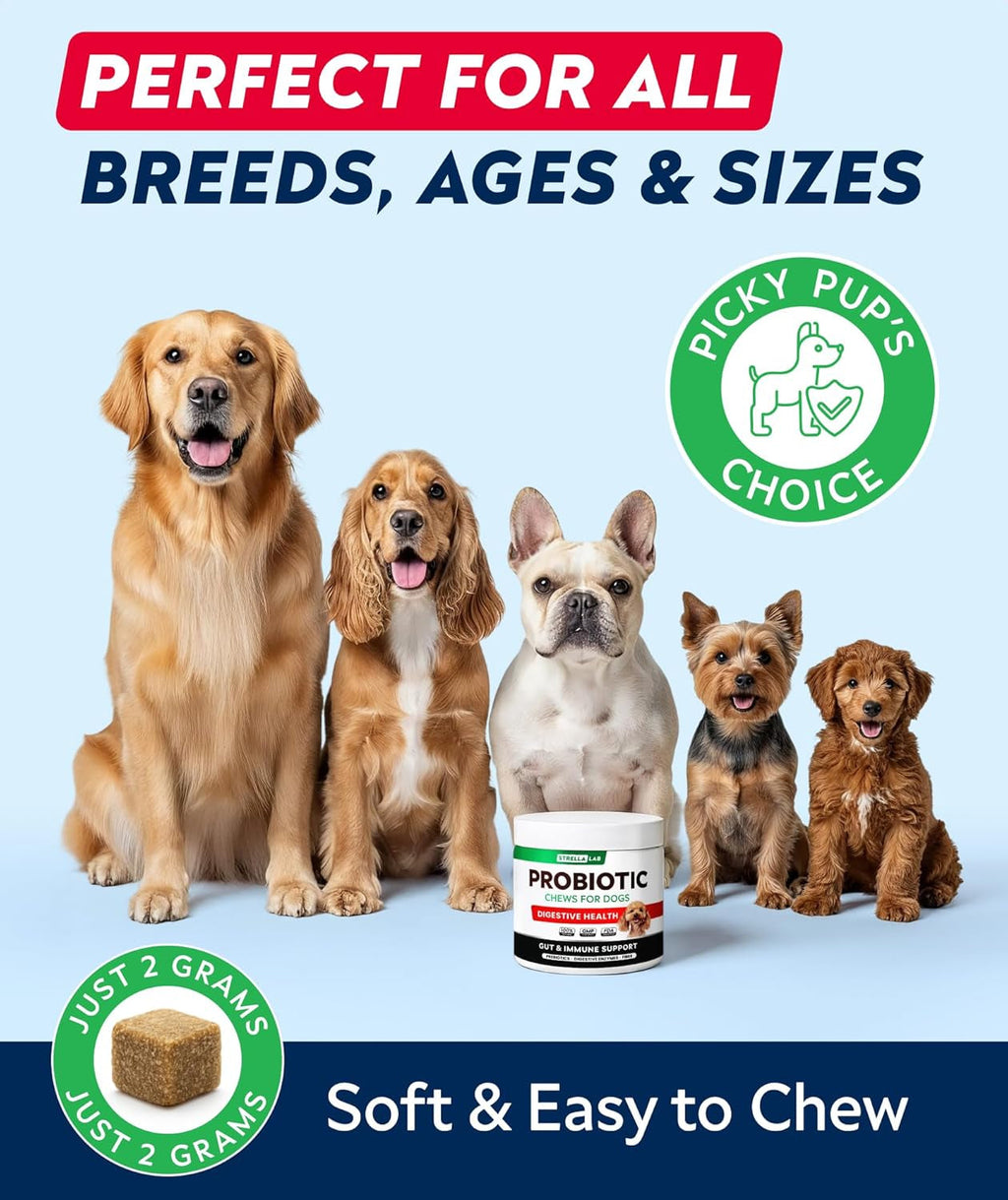 Probiotics Chews for Dogs & Digestive Enzymes + Digestion & Gut Health Treats, Probiotics for Dogs, Fiber Supplement, anti Diarrhea, Constipation, Upset Stomach&Gas Relief,Canine Prebiotic